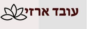 עובד ארזי ייעוץ עסקי